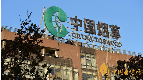 香煙漲價(jià)最新消息2020：香煙漲價(jià)真的能控?zé)焼?>
                                    <span>香煙漲價(jià)最新消息2020：香煙漲價(jià)真的能控?zé)焼?/span>
                                    <p>現(xiàn)在我國煙民的基數(shù)在不斷增大，而且有越來越多的青少年加入吸煙</p>
                                </a>
                            </li>
                                                                                </ul>
                    </div>

                </div>
            </div>
        </div>
    </div>

    
<link rel=