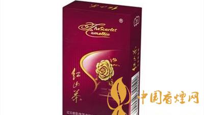 紅山茶紫市值多少錢？紅山茶紫口味如何？