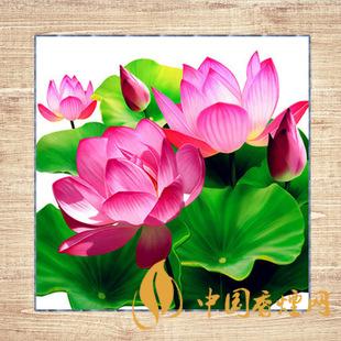 鉆石荷花煙多少錢一包 2025鉆石荷花煙價格一覽