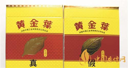 如何辨別黃金葉金滿堂真假？2020黃金葉真假辨別詳情對比