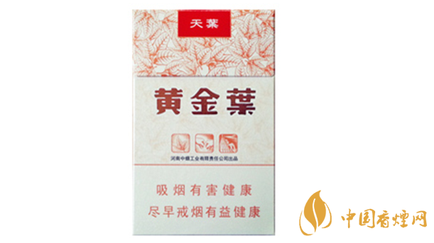 黃金葉天葉真?zhèn)卧趺幢鎰e？天葉真假如何看？