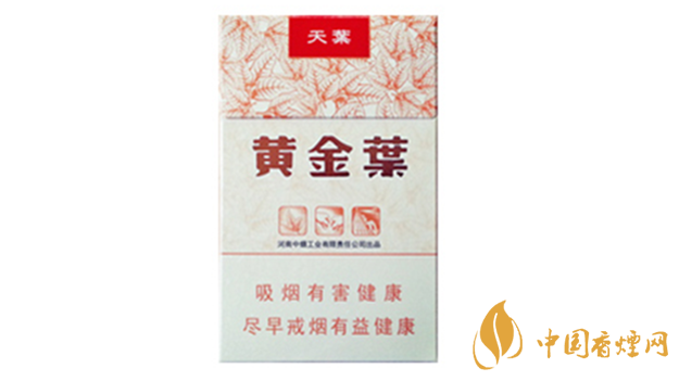 黃金葉天葉真假怎樣區(qū)分？黃金葉天葉真假識別