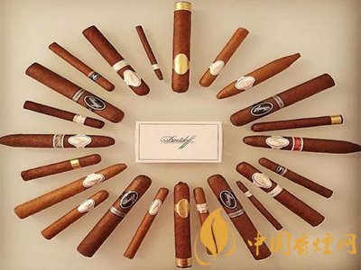 新手必備的雪茄知識！不要錯過！