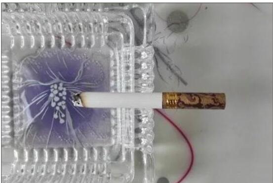 黃鶴樓漫天游，除了短貴沒別的毛病