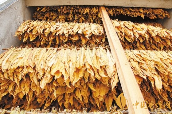 煙葉稅是什么，煙葉稅如何計算