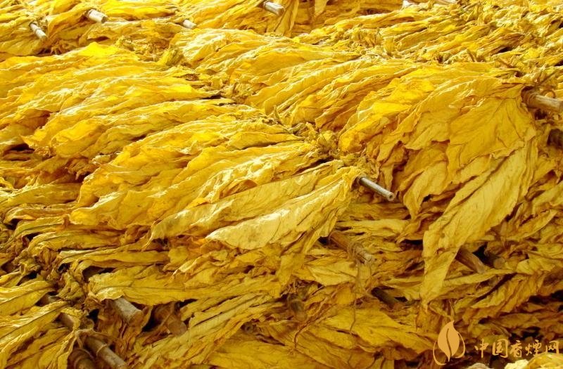 有機(jī)煙葉是什么，有機(jī)煙葉和普通煙葉的區(qū)別