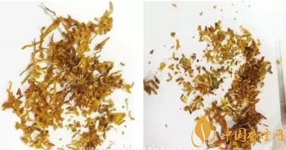 冬蟲夏草（和潤）真假鑒別，春節(jié)防止被騙