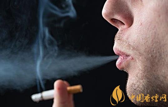 怎么快速去除室內(nèi)的煙味只需要做好這三步！